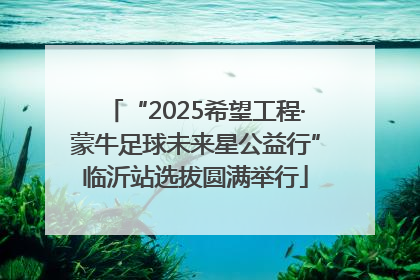 “2025希望工程·蒙牛足球未来星公益行”临沂站选拔圆满举行