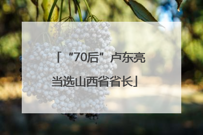 “70后”卢东亮当选山西省省长