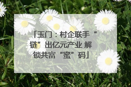 玉门：村企联手“链”出亿元产业 解锁共富“蜜”码