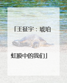 王征宇：琥珀虹膜中的我们