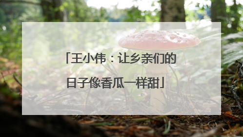 王小伟：让乡亲们的日子像香瓜一样甜
