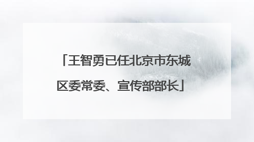 王智勇已任北京市东城区委常委、宣传部部长