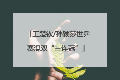王楚钦/孙颖莎世乒赛混双“三连冠”