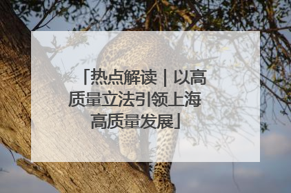 热点解读｜以高质量立法引领上海高质量发展