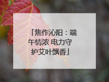 焦作沁阳：端午情浓 电力守护艾叶飘香