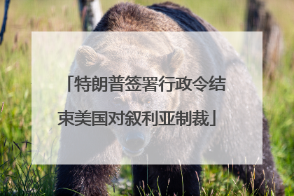 特朗普签署行政令结束美国对叙利亚制裁