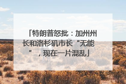 特朗普怒批：加州州长和洛杉矶市长“无能”，现在一片混乱