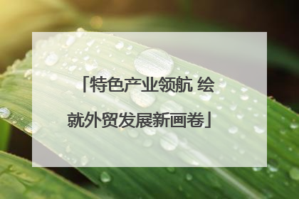 特色产业领航 绘就外贸发展新画卷