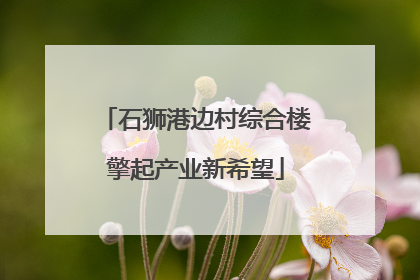 石狮港边村综合楼擎起产业新希望