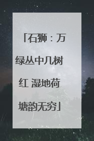 石狮：万绿丛中几树红 湿地荷塘韵无穷