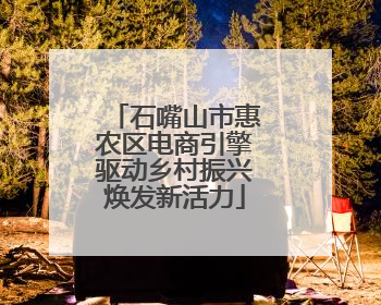 石嘴山市惠农区电商引擎驱动乡村振兴焕发新活力