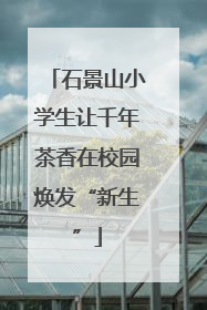 石景山小学生让千年茶香在校园焕发“新生”
