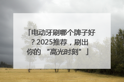 电动牙刷哪个牌子好？2025推荐，刷出你的 “高光时刻”