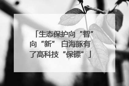 生态保护向“智”向“新” 白海豚有了高科技“保镖”