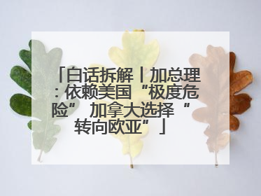 白话拆解丨加总理：依赖美国“极度危险” 加拿大选择“转向欧亚”