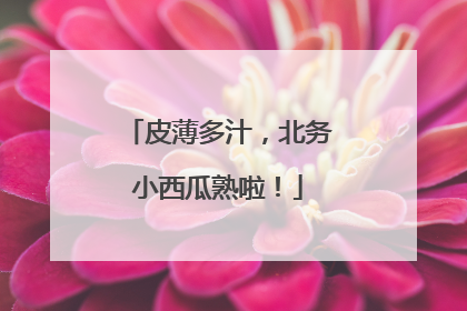 皮薄多汁，北务小西瓜熟啦！