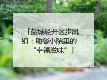 盐城经开区步凤镇：助餐小院里的“幸福滋味”
