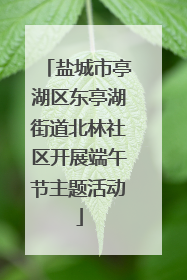 盐城市亭湖区东亭湖街道北林社区开展端午节主题活动
