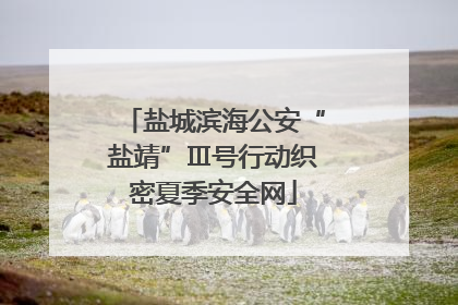 盐城滨海公安“盐靖”Ⅲ号行动织密夏季安全网