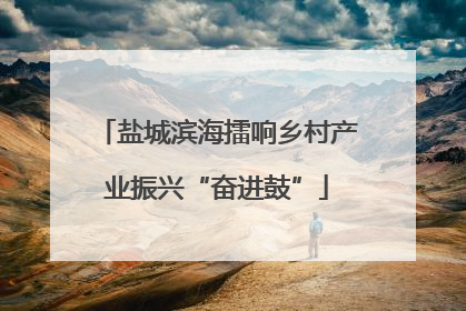 盐城滨海擂响乡村产业振兴“奋进鼓”