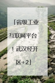 省级工业互联网平台！武汉经开区+2