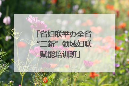 省妇联举办全省“三新”领域妇联赋能培训班