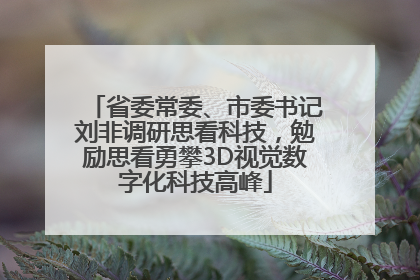 省委常委、市委书记刘非调研思看科技，勉励思看勇攀3D视觉数字化科技高峰