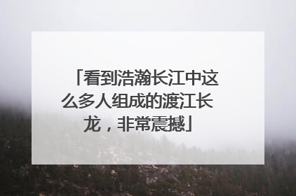 看到浩瀚长江中这么多人组成的渡江长龙，非常震撼