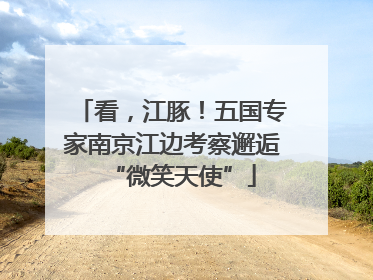 看，江豚！五国专家南京江边考察邂逅“微笑天使”