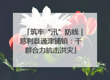 筑牢“汛”防线｜慈利县通津铺镇：干群合力抗击洪灾