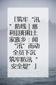 筑牢“汛”防线｜慈利县阳和土家族乡：闻“汛”而动 全员下沉筑牢防汛“安全堤”