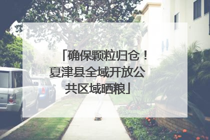 确保颗粒归仓！夏津县全域开放公共区域晒粮