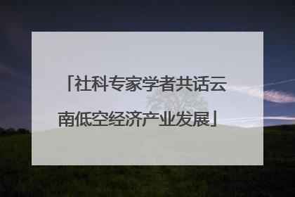 社科专家学者共话云南低空经济产业发展
