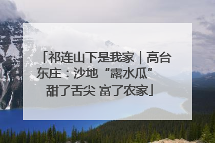 祁连山下是我家｜高台东庄：沙地“露水瓜” 甜了舌尖 富了农家