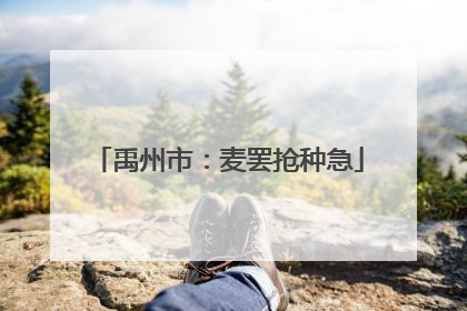 禹州市：麦罢抢种急