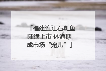 福建连江石斑鱼陆续上市 休渔期成市场“宠儿”