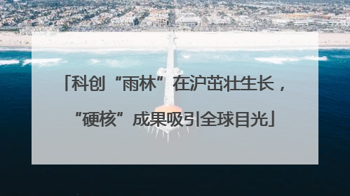 科创“雨林”在沪茁壮生长，“硬核”成果吸引全球目光