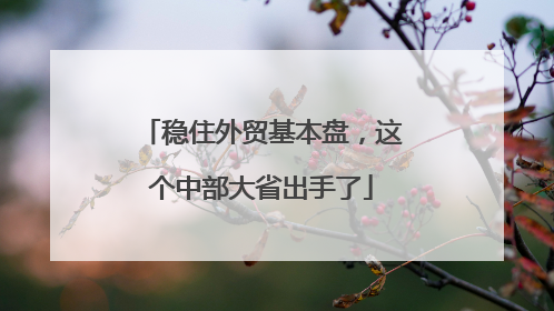 稳住外贸基本盘，这个中部大省出手了
