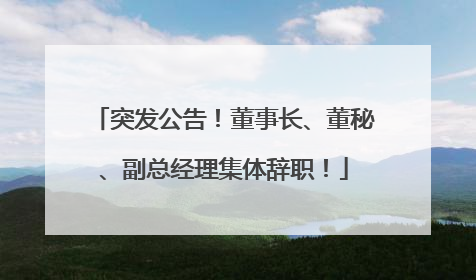 突发公告！董事长、董秘、副总经理集体辞职！