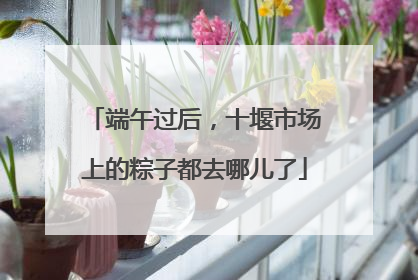 端午过后，十堰市场上的粽子都去哪儿了