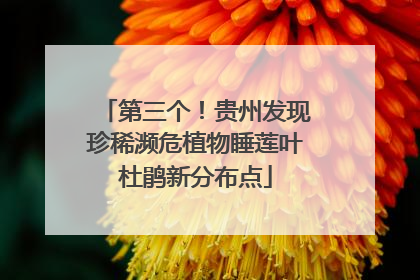 第三个！贵州发现珍稀濒危植物睡莲叶杜鹃新分布点