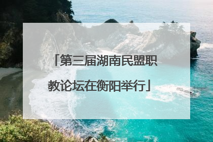 第三届湖南民盟职教论坛在衡阳举行