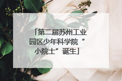 第二届苏州工业园区少年科学院“小院士”诞生