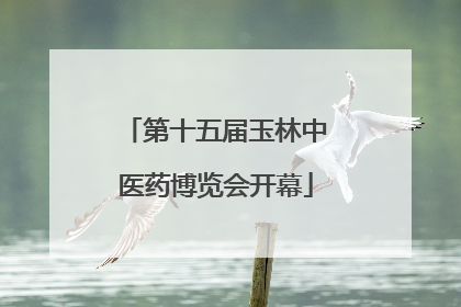 第十五届玉林中医药博览会开幕