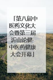 第八届中医药文化大会暨第三届沂山论健·中医药健康大会开幕