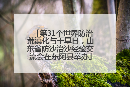 第31个世界防治荒漠化与干旱日，山东省防沙治沙经验交流会在东阿县举办