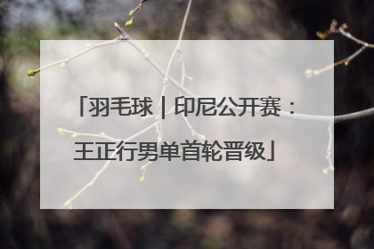 羽毛球｜印尼公开赛：王正行男单首轮晋级