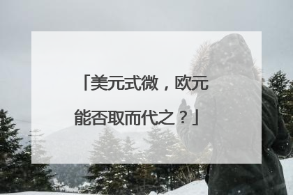 美元式微，欧元能否取而代之？