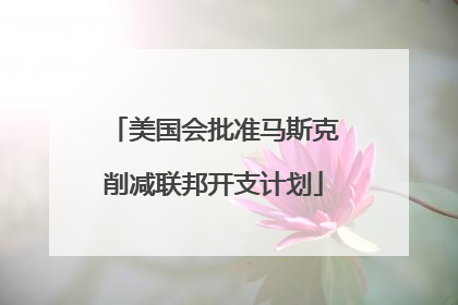 美国会批准马斯克削减联邦开支计划