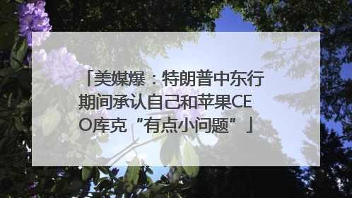 美媒爆：特朗普中东行期间承认自己和苹果CEO库克“有点小问题”